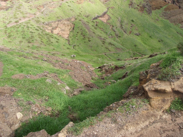 Madeira 2011 styczen 445