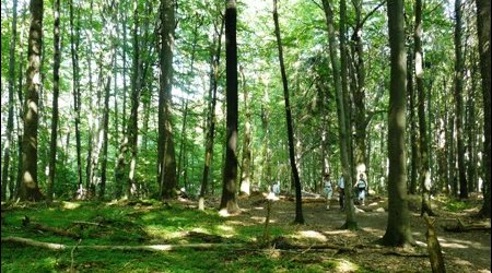 Rpn szlak zielony bukowa gora – Zwierzyniec, Polska