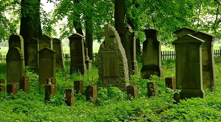 Stogi Malborskie – żuławy wiślane, Polska
