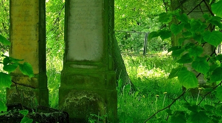 Szaleniec – żuławy wiślane, Polska