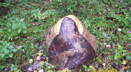 Kuropaty – Mińsk, Białoruś
