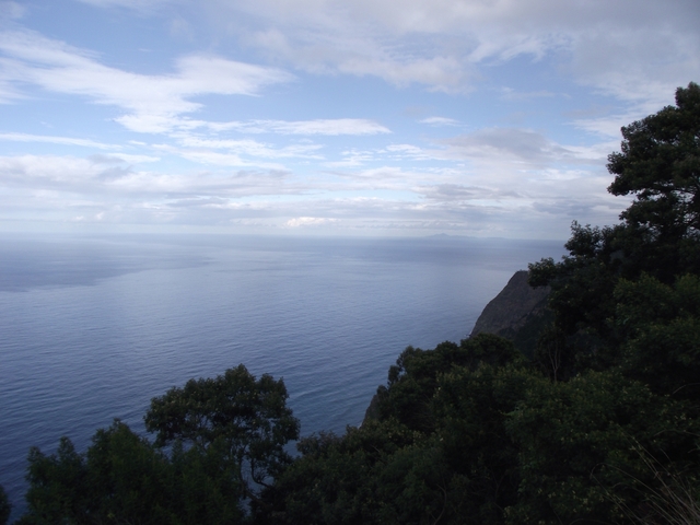 Madeira 2011 styczen 537