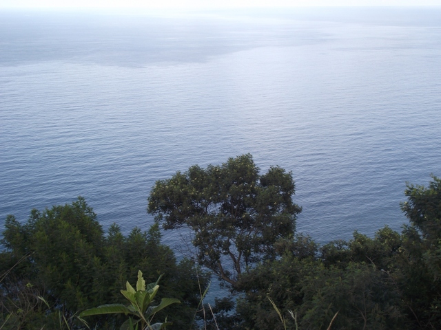 Madeira 2011 styczen 538