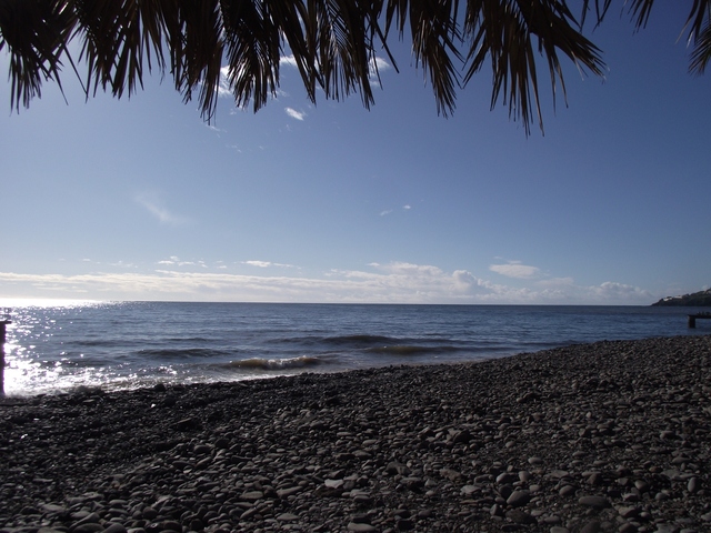 Madeira 2011 styczen 581