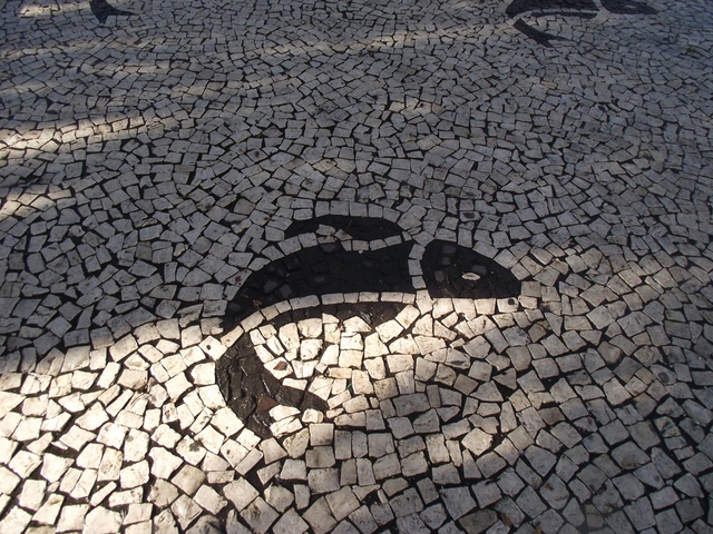 Madeira 2011 styczen 592