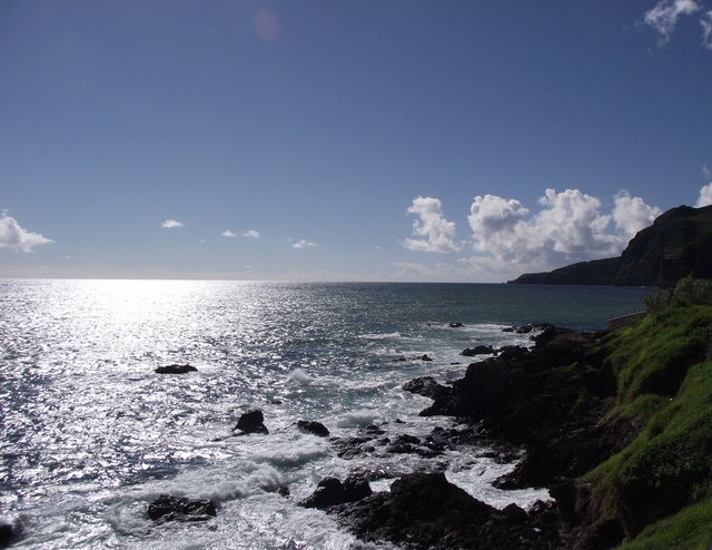 Madeira 2011 styczen 614