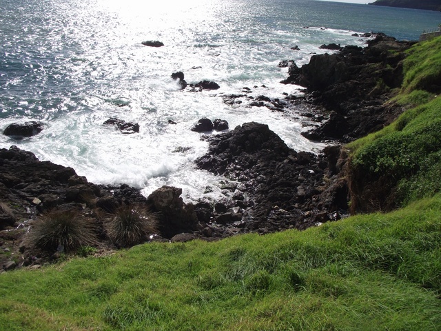 Madeira 2011 styczen 615