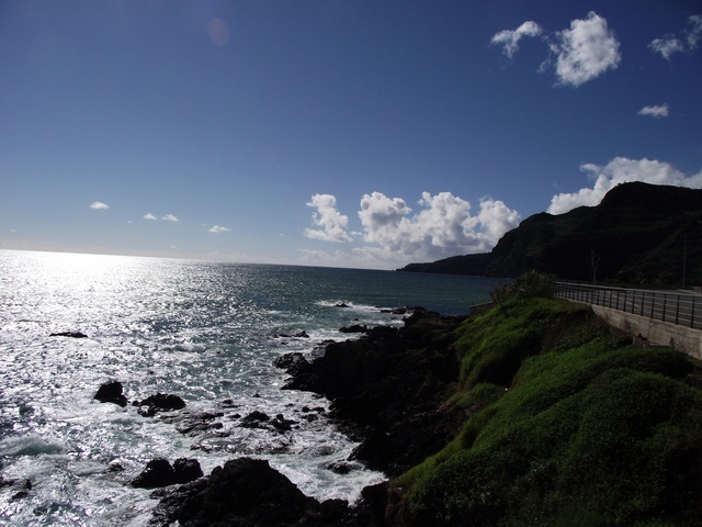 Madeira 2011 styczen 616