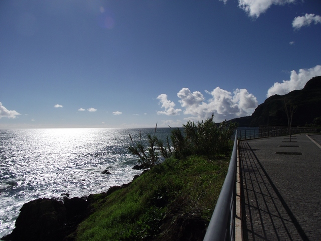 Madeira 2011 styczen 620