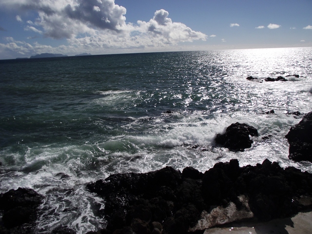 Madeira 2011 styczen 624