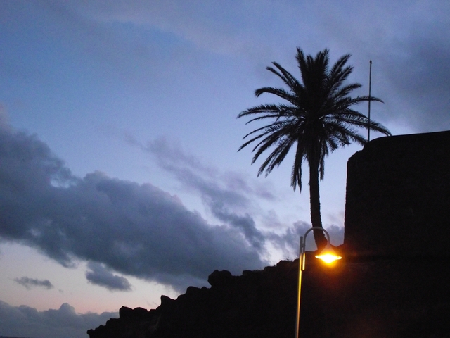Madeira 2011 styczen 630