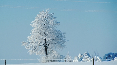 421762 - Warmia i mazury WARMIA W SZADZI – Polska