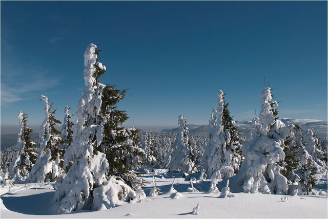 Zima 2011