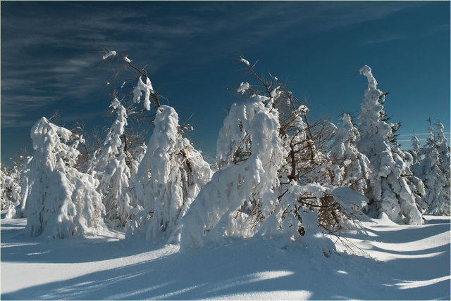 Zima 2011