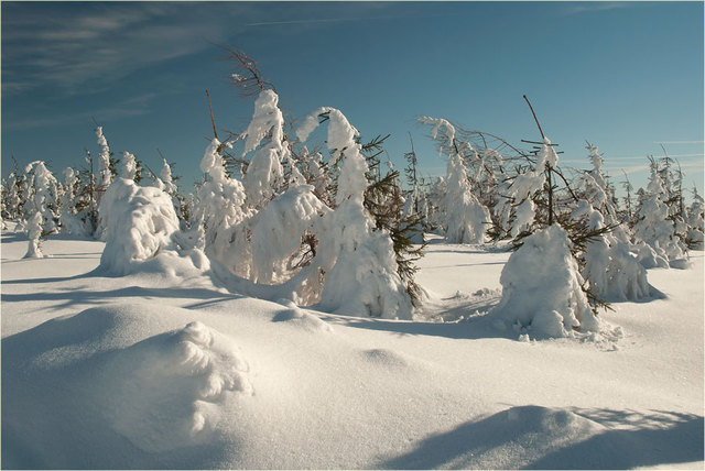 Zima 2011