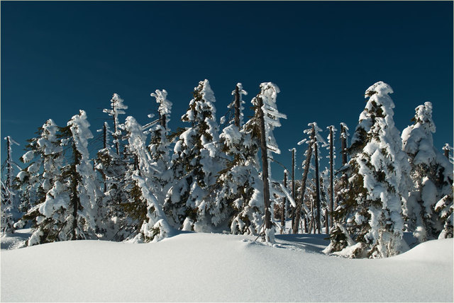 Zima 2011