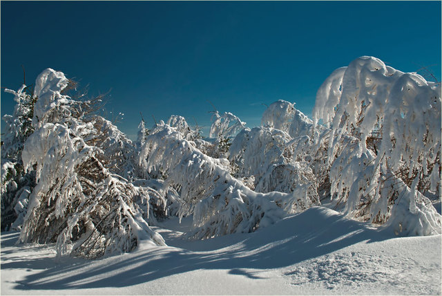 Zima 2011