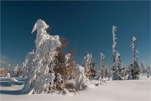 Zima 2011