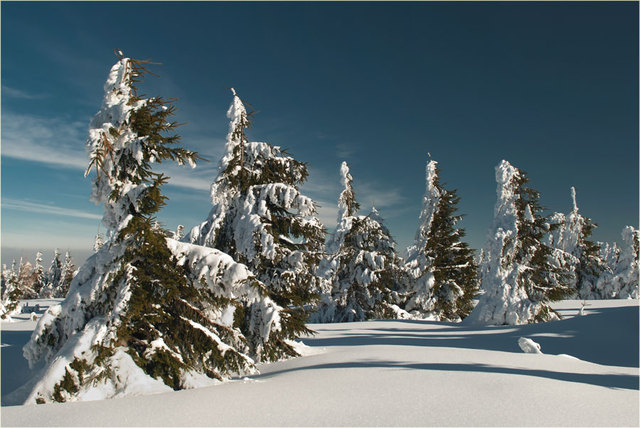 Zima 2011