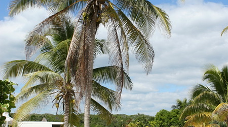 Tulum – Meksyk