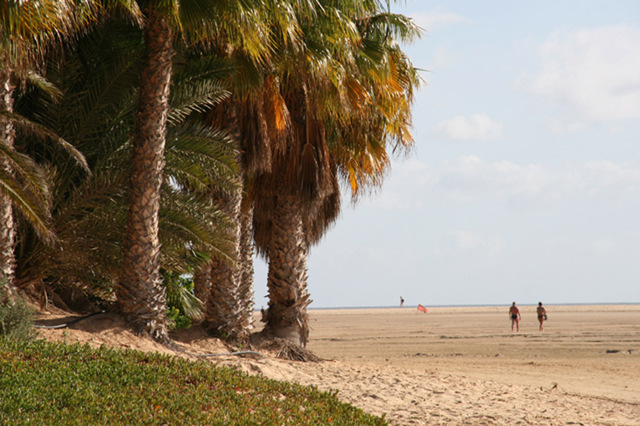 429269 - Fuerteventura