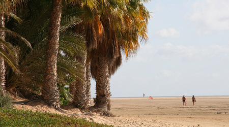 429269 - Fuerteventura – Hiszpania