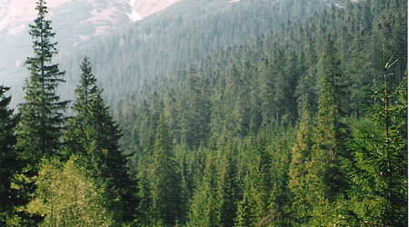 Tatry Wysokie - wrzesień 1992 – Zakopane, Polska