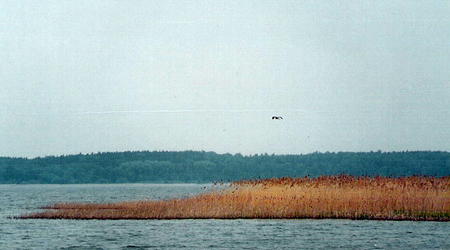Jezioro Niegocin – Giżycko, Polska
