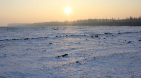 Zima – Suliszów, Polska