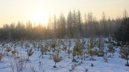 Zima7 – Suliszów, Polska