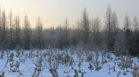 Zima8 – Suliszów, Polska
