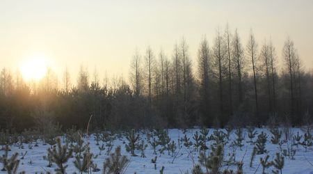 Zima9 – Suliszów, Polska