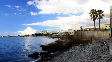 Palmy – Funchal, Portugalia