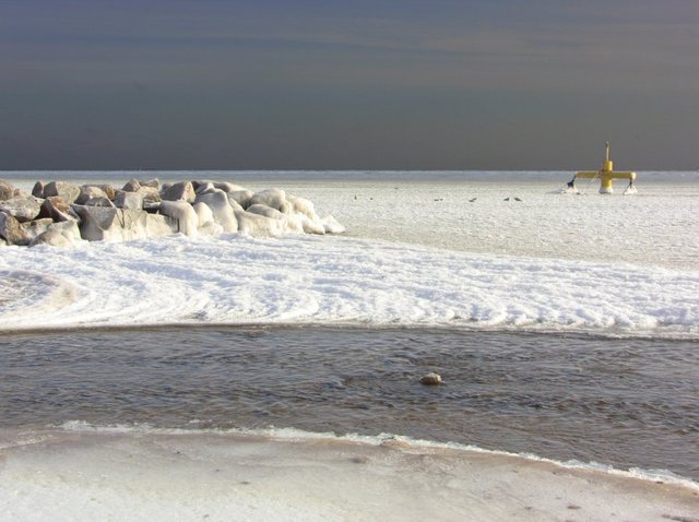 Orłowo -  luty  2011