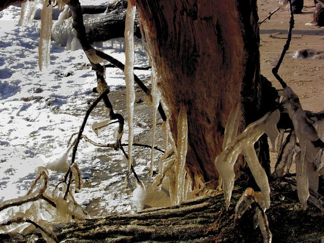 Orłowo -  luty  2011