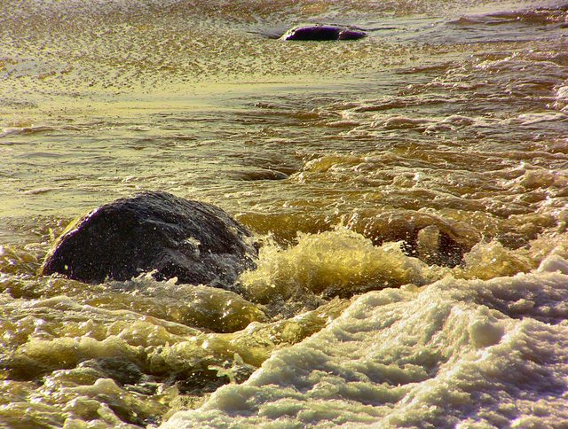 Orłowo -  luty  2011