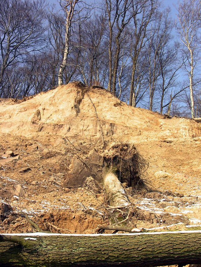 Orłowo -  luty  2011