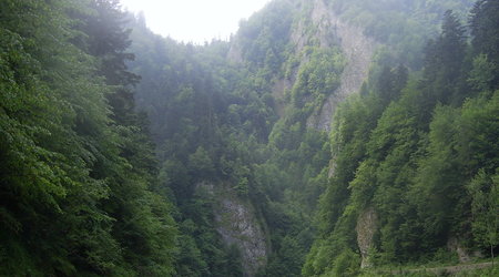Spływ Dunajcem – Szczawnica, Polska