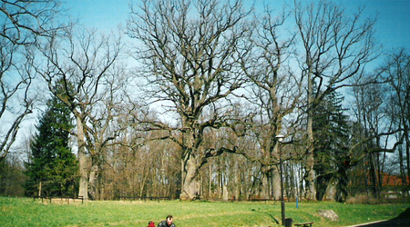 Białowieża (2) – Polska