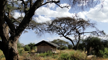 Namiow w Amboseli Sentrim Camp – Kenia