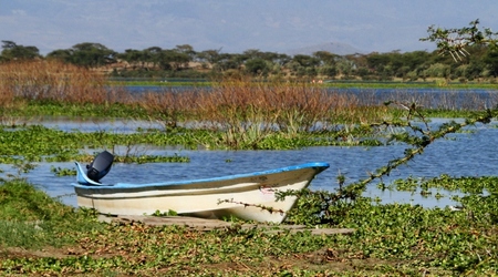 Nasza łódka – Naivasha, Kenia