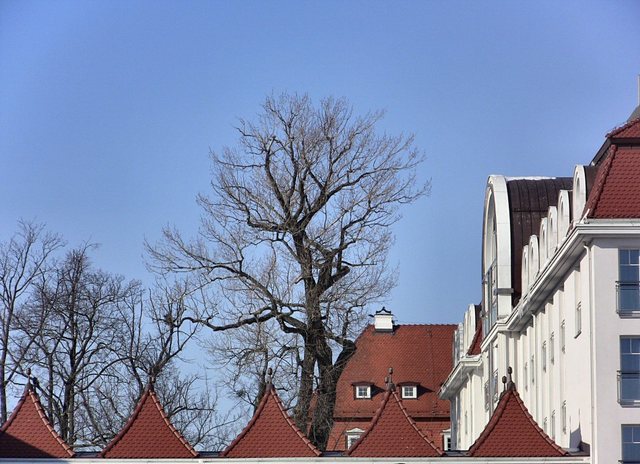 Sopot - super zima - 24 luty  2011