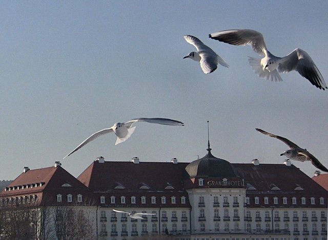 Sopot - super zima - 24 luty  2011