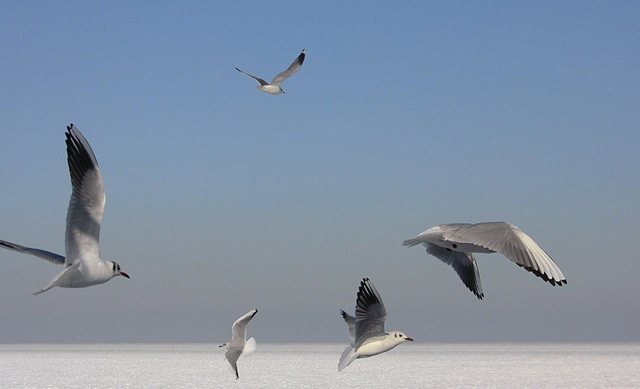 Sopot - super zima - 24 luty  2011