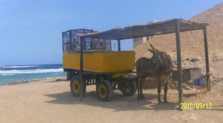 Marsa Alam – Egipt