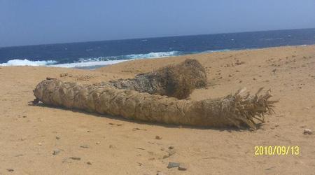 Marsa Alam – Egipt