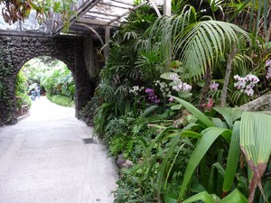 Puerto de la Cruz, Loro Parque