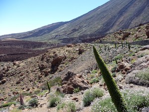 Teide National Park