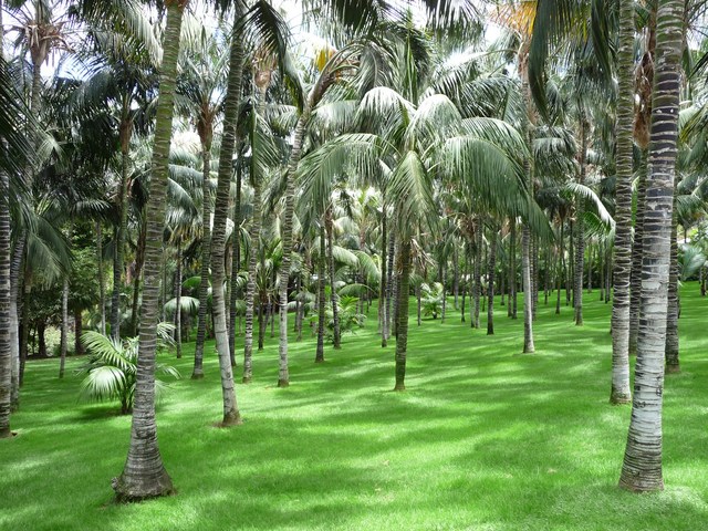 Puerto de la Cruz, Loro Parque 