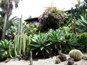Puerto de la Cruz, Loro Parque 